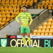 Norwich City loan signing Pedro Lima has enjoyed a productive first season at Carrow Road.