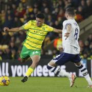 The stakes are high as Norwich City face Preston North End.