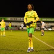 Norwich City's under-21s were beaten 2-0 at Carrow Road by West Ham United.