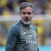 David Wagner hopes Norwich City have learned their lesson ahead of Swansea's visit