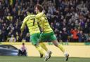 Borja Sainz netted an equaliser as Norwich City drew 1-1 with Bristol City at Carrow Road.