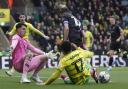 Norwich City were held 1-1 at Carrow Road by Bristol City.