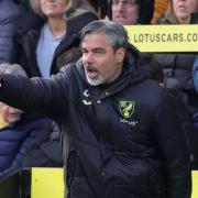 Has David Wagner's Norwich City setup been worked out?