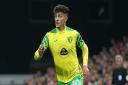 Greece international Dimitris Giannoulis is pushing for a Norwich City recall