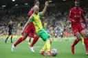 Norwich City striker Teemu Pukki is searching for his first Premier League goal of the season