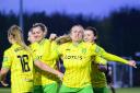 Shaun Howes is hoping an FA Cup run will help raise the profile of his Norwich City Women's side.