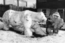 Sharon Norgate shows her daughter Chelsea the polar bear made of snow outside their King's Lynn home, March 1993.
