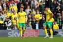 The defeat to Sunderland felt like a big missed opportunity for Norwich City