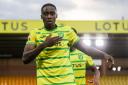 Emmanuel Adegboyega has impressed since signing for Norwich City.