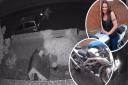 Maddie Bell's Suzuki SV1000 motorbike was stolen from her home in Bowthorpe