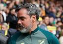 David Wagner has masterminded an impressive turnaround in Norwich City's fortunes