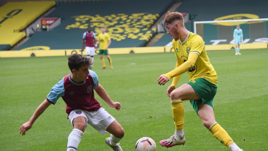 Northern Ireland boss keen to take a look at Norwich City youngster | The  Pink Un