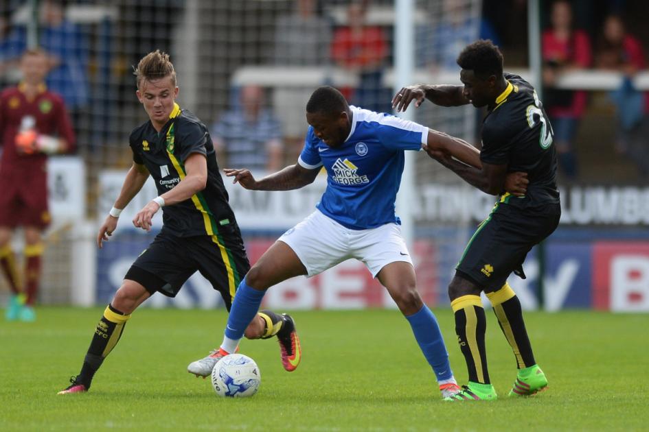 Norwich City: Paddy Davitt column on Canaries transfer strategy