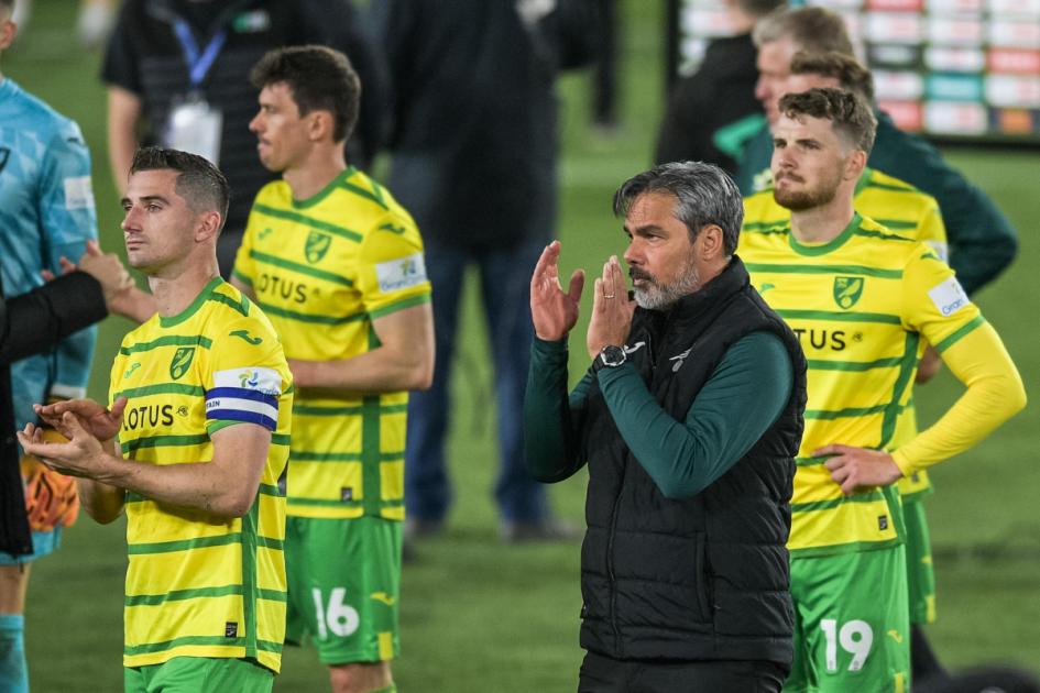 Leeds 4-0 Norwich City: David Wagner Championship reaction