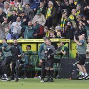 Carrow Road was rocking as City beat the old enemy