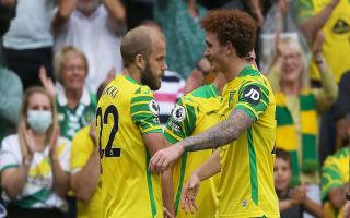 Josh Sargent and Teemu Pukki offered Norwich City with a fresh impetus at the top end of the pitch.